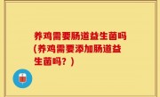 养鸡需要肠道益生菌吗(养鸡需要添加肠道益生菌吗？)