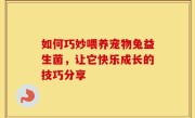 如何巧妙喂养宠物兔益生菌，让它快乐成长的技巧分享