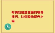 布偶幼猫益生菌的喂养技巧，让你轻松提升小猫