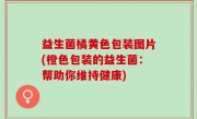 益生菌橘黄色包装图片(橙色包装的益生菌：帮助你维持健康)