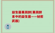 益生菌果蔬酵(果蔬酵素中的益生菌——秘密武器)