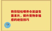 教你轻松喂养仓鼠益生菌素片，提升宠物幸福感的绝佳技巧