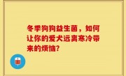 冬季狗狗益生菌，如何让你的爱犬远离寒冷带来的烦恼？