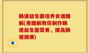 肠道益生菌培养食谱图解(用图解教你制作肠道益生菌菜肴，提高肠道健康)