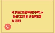 红狗益生菌喝完不喝水 是正常现象还是有潜在问题