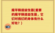 魔芋肠道益生菌(重要的魔芋肠道益生菌，它们对我们的身体有什么好处？)