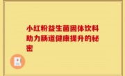 小红粉益生菌固体饮料助力肠道健康提升的秘密