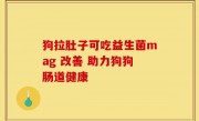 狗拉肚子可吃益生菌mag 改善 助力狗狗肠道健康