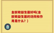 金脱敏益生菌好吗(金脱敏益生菌的功效和作用是什么？)