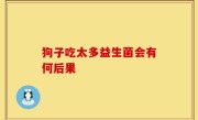 狗子吃太多益生菌会有何后果