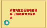柯基狗崽益生菌喂养视频 正确喂食方法全知道