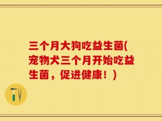 三个月大狗吃益生菌(宠物犬三个月开始吃益生菌，促进健康！)