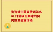 狗狗益生菌宣传语怎么写 打造吸引眼球的狗狗益生菌宣传语