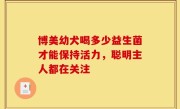 博美幼犬喝多少益生菌才能保持活力，聪明主人都在关注