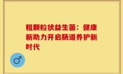 粗颗粒状益生菌：健康新助力开启肠道养护新时代