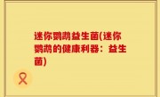迷你鹦鹉益生菌(迷你鹦鹉的健康利器：益生菌)