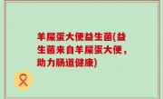 羊屎蛋大便益生菌(益生菌来自羊屎蛋大便，助力肠道健康)