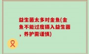 益生菌太多对金鱼(金鱼不能过度摄入益生菌，养护需谨慎)