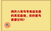 揭开八哥鸟专用益生菌的真实面貌，你的爱鸟需要它吗？