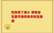 狗狗得了细小 哪些益生菌可推荐助其恢复健康