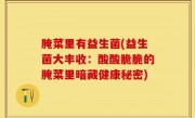 腌菜里有益生菌(益生菌大丰收：酸酸脆脆的腌菜里暗藏健康秘密)