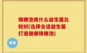 锦鲤池用什么益生菌比较好(选择合适益生菌打造健康锦鲤池)