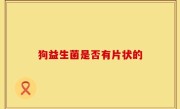 狗益生菌是否有片状的