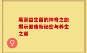 黑茶益生菌的神奇之旅揭示健康新秘密与养生之道
