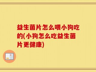益生菌片怎么喂小狗吃的(小狗怎么吃益生菌片更健康)