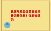 巴西龟放益生菌真能改善饲养效果？你想知道的
