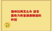 猫咪拉稀怎么办 益生菌助力恢复健康肠道的妙招