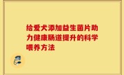 给爱犬添加益生菌片助力健康肠道提升的科学喂养方法