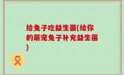 给兔子吃益生菌(给你的萌宠兔子补充益生菌)