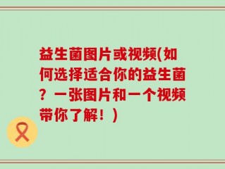 益生菌图片或视频(如何选择适合你的益生菌？一张图片和一个视频带你了解！)