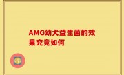 AMG幼犬益生菌的效果究竟如何