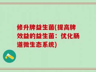修升牌益生菌(提高牌效益的益生菌：优化肠道微生态系统)