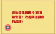 适怡益生菌图片(适宜益生菌：改善肠道健康的品牌)