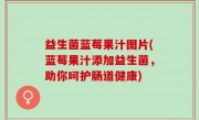 益生菌蓝莓果汁图片(蓝莓果汁添加益生菌，助你呵护肠道健康)