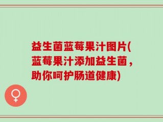 益生菌蓝莓果汁图片(蓝莓果汁添加益生菌，助你呵护肠道健康)