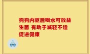 狗狗内驱后喝水可放益生菌 有助于减轻不适促进健康
