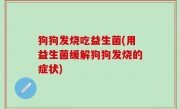 狗狗发烧吃益生菌(用益生菌缓解狗狗发烧的症状)
