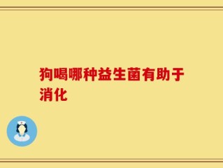 狗喝哪种益生菌有助于消化