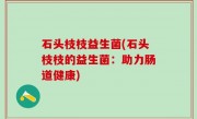 石头枝枝益生菌(石头枝枝的益生菌：助力肠道健康)