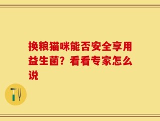 换粮猫咪能否安全享用益生菌？看看专家怎么说