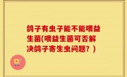 鸽子有虫子能不能喂益生菌(喂益生菌可否解决鸽子寄生虫问题？)