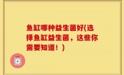 鱼缸哪种益生菌好(选择鱼缸益生菌，这些你需要知道！)