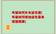 母猫如何补充益生菌(母猫如何增加益生菌来增强健康)