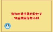 狗狗吃益生菌后拉肚子，背后原因你想不到