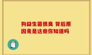 狗益生菌很臭 背后原因竟是这些你知道吗