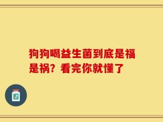 狗狗喝益生菌到底是福是祸？看完你就懂了